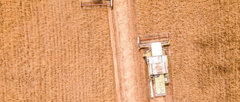 Campo de cereal visto desde arriba